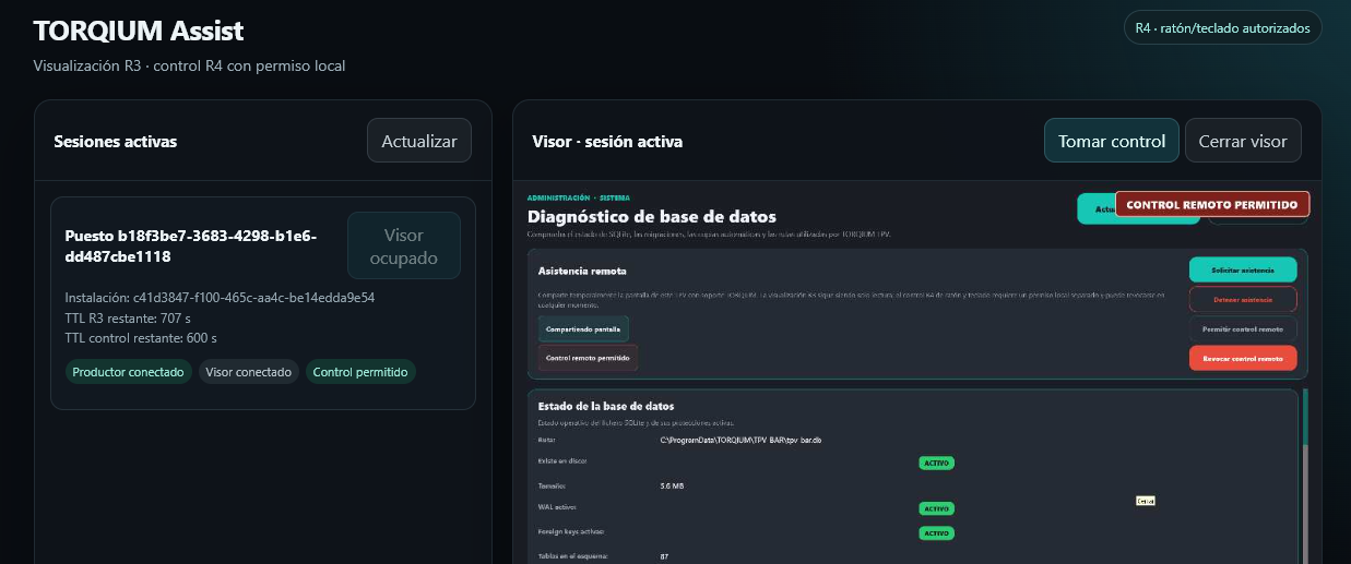 Panel TORQIUM Assist en el servidor de soporte con sesión remota activa, visor y control autorizado
